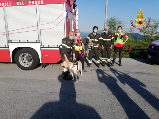 Genova cane precipitato burrone