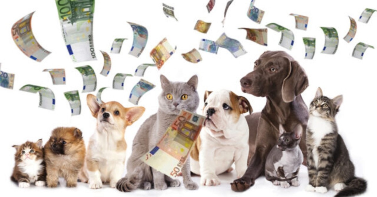 Fase 2, la Lav propone un bonus per i cani e per i gatti