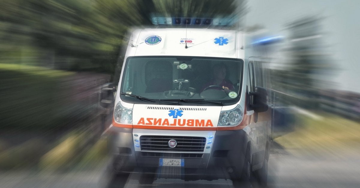 Lecco, bambino aggredito da un cane: i carabinieri stanno indagando