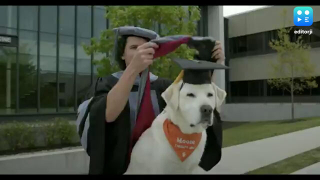 Moose il cane con la laurea