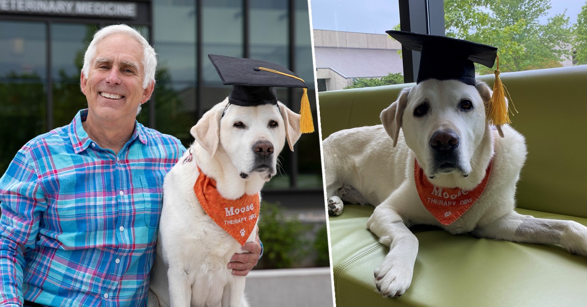 Moose, il cane che ha ricevuto la prima laurea, alla Virginia Tech