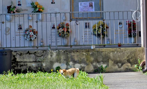 La storia di Oliver, il cane che va al cimitero