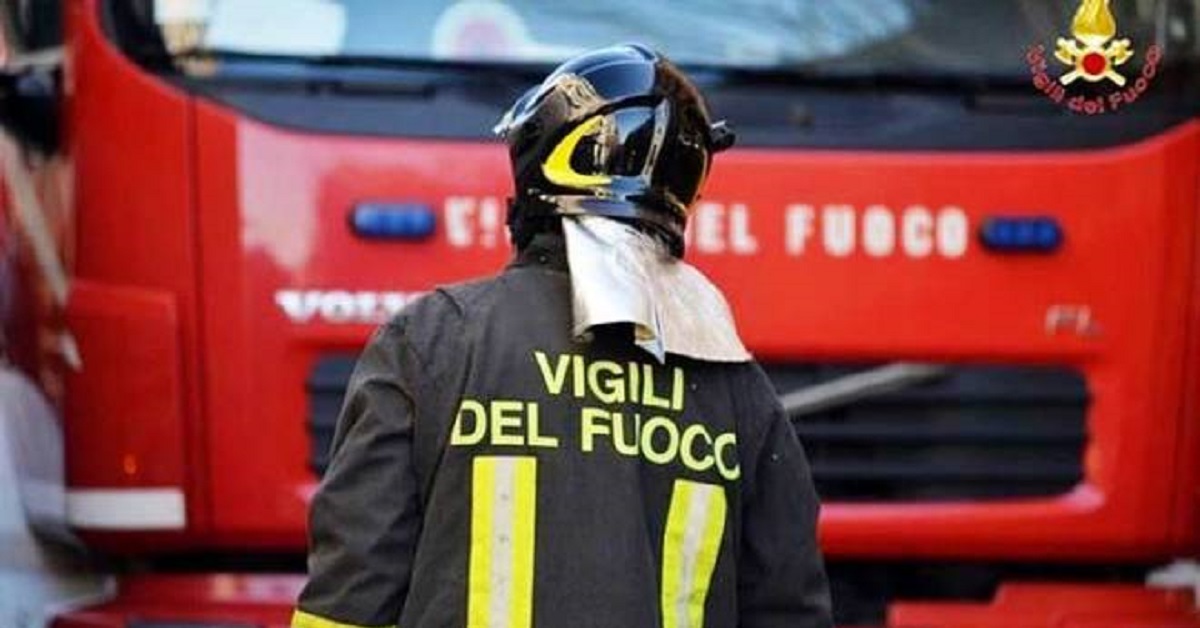 Simonetta Frugoli ha perso la vita: i suoi cani hanno vegliato il suo corpo