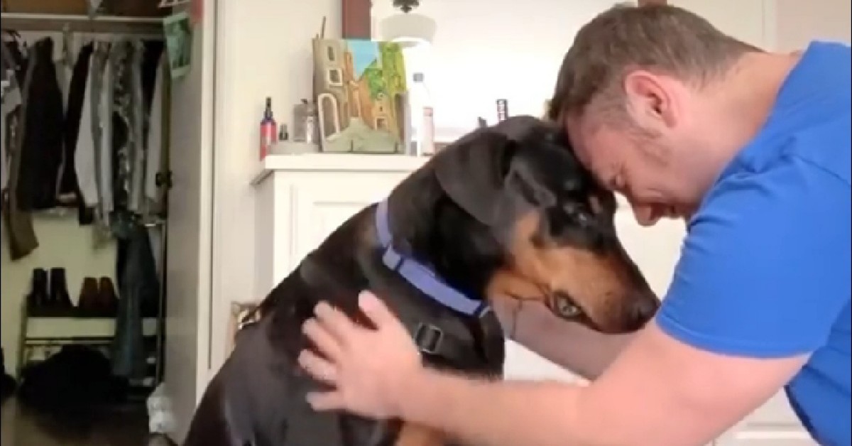 L'emozionante video di Tiziano ferro con il suo cane Beau