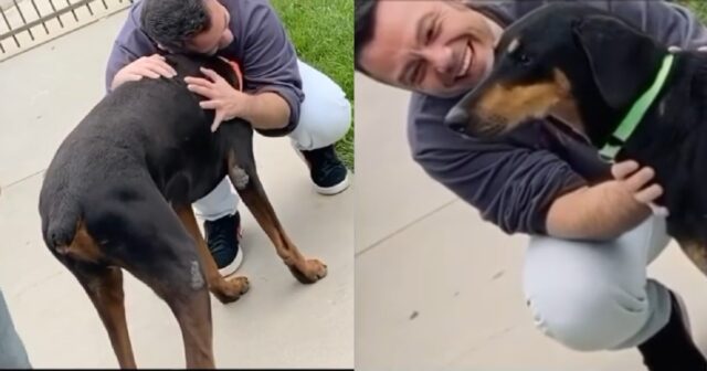 L'emozionante video di Tiziano ferro con il suo cane Beau