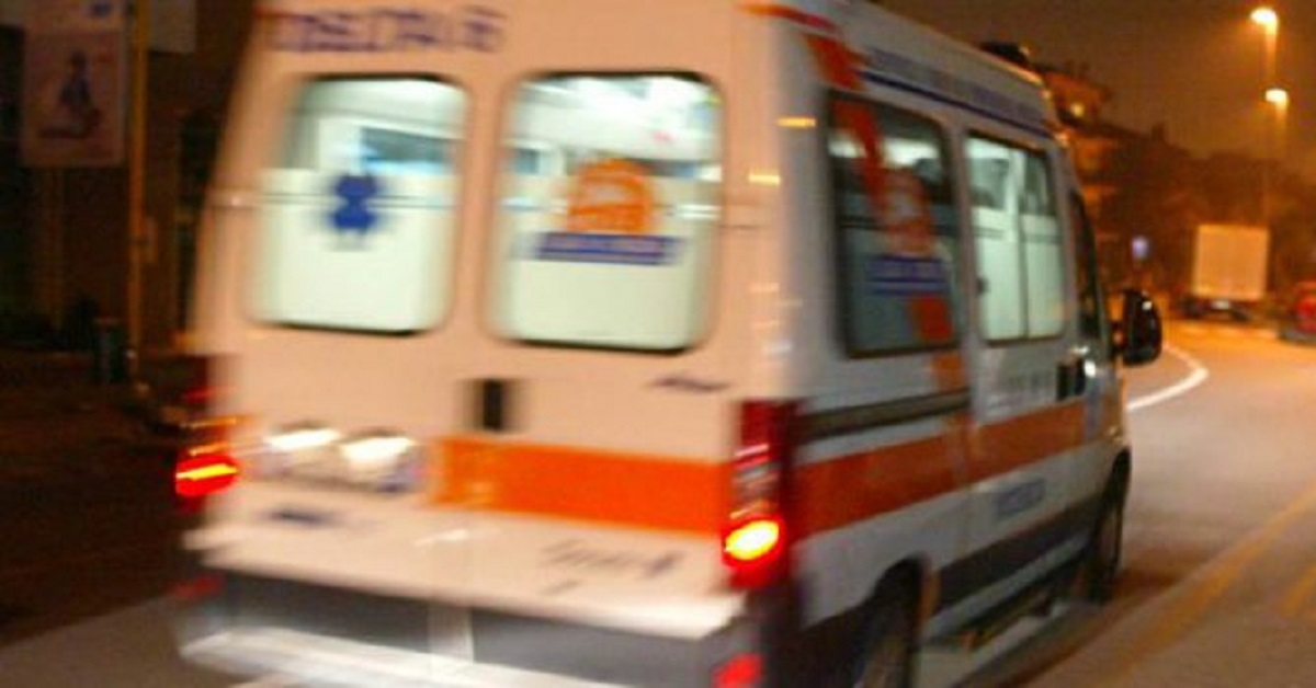 Vicenza, avvelenato cane: uomo cerca di salvarlo, ma finisce in ospedale