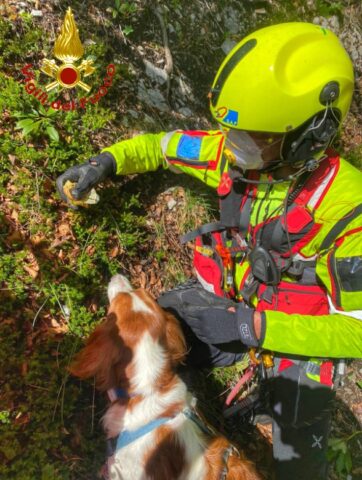 Vigili del fuoco salvano Paride