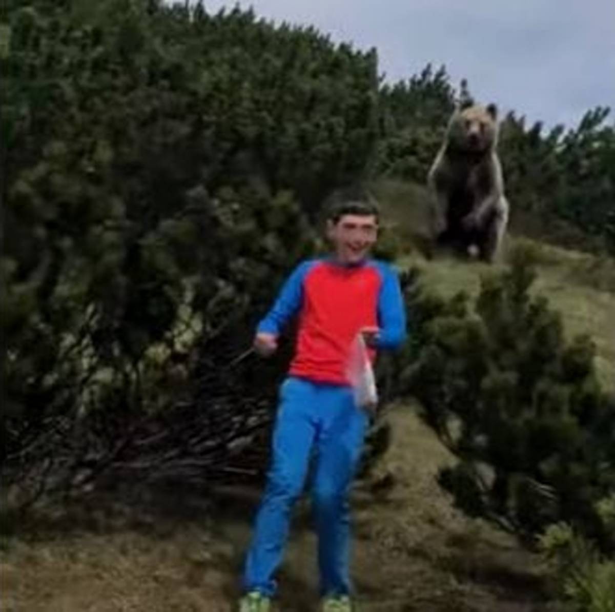 bambino e orso