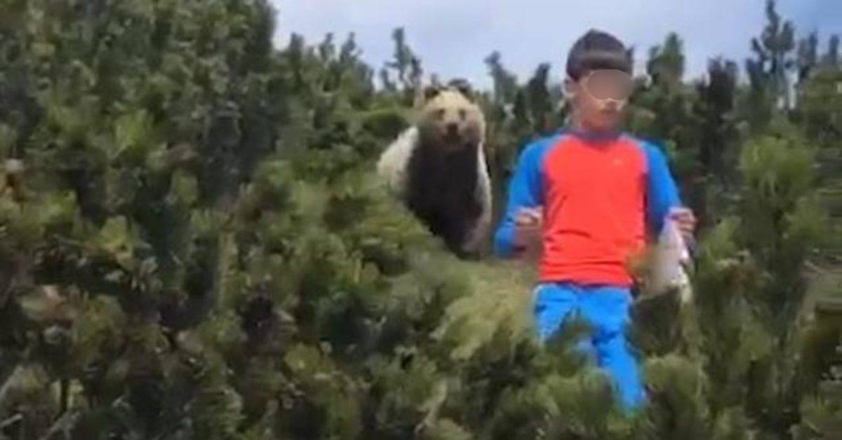 Alessandro, intervistato il bimbo che ha incontrato l’orso