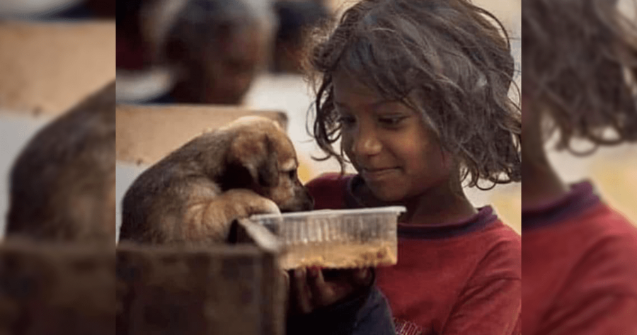 Bambina da dà mangiare al cane abbandonato