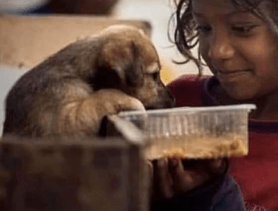 Bambina condivide il cibo con il cane