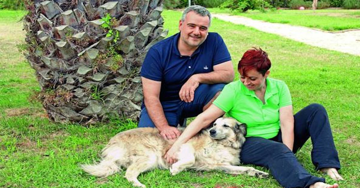 L’agriturismo di Benedetta Rossi: le foto de La Vergara immerso nelle Marche