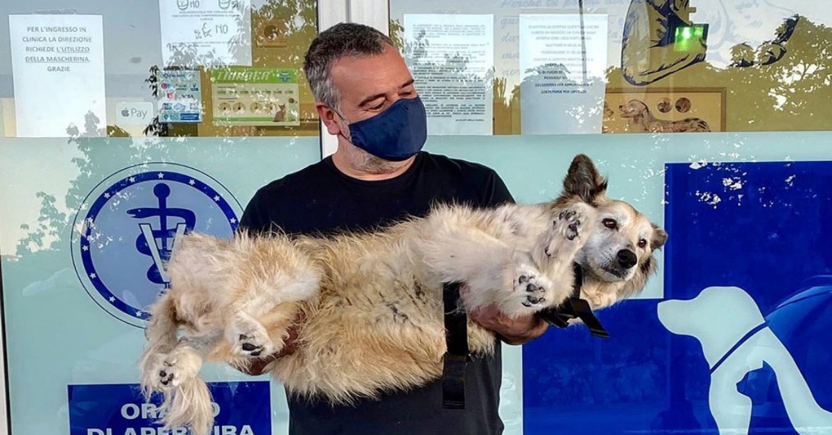 Benedetta Rossi e le condizioni di Nuvola: ecco cosa le ha detto il veterinario