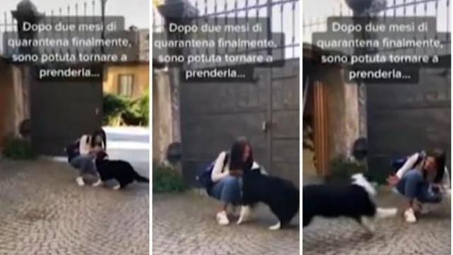 Rivede la sua proprietaria dopo due mesi, la reazione della cagnolina