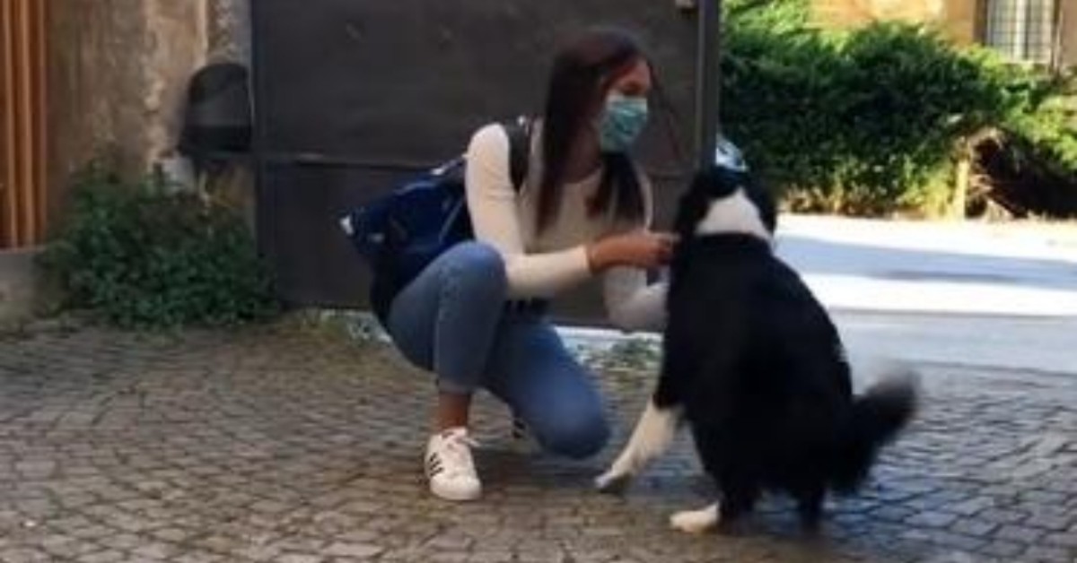 Cagnolina rivede la sua proprietaria dopo due mesi: la commovente reazione
