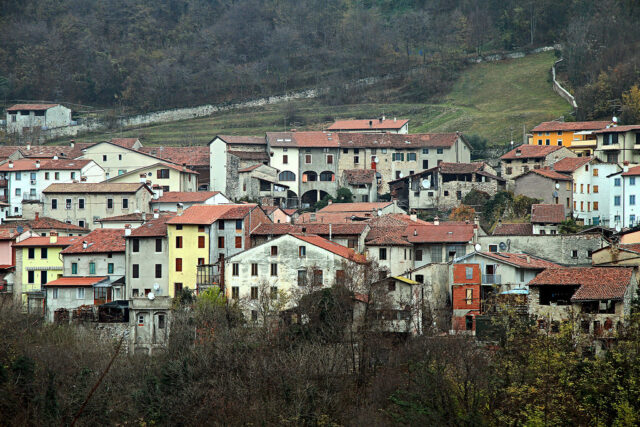 Collare elettrico ad un cane a Caltrano