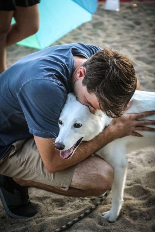 Ghost il cane