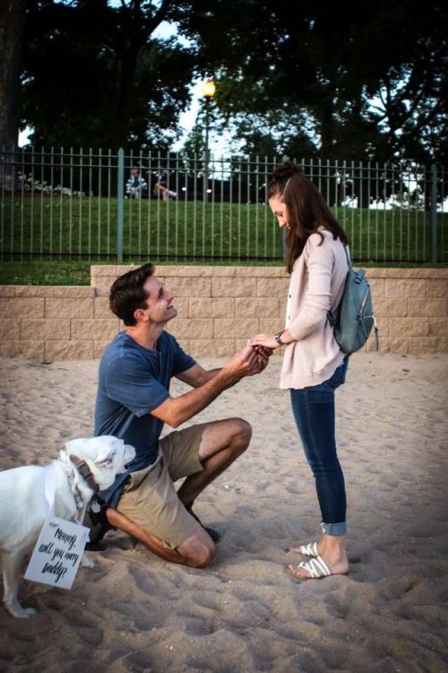 Proposta di matrimonio in ginocchio