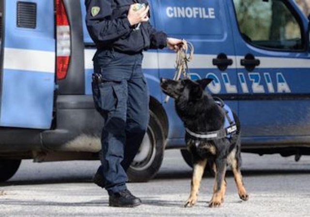 cane poliziotto fiuta marijuana