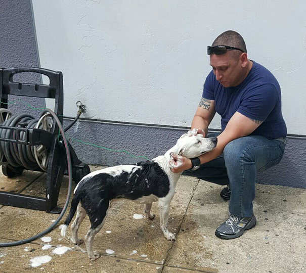 Cane coccolato dai poliziotti