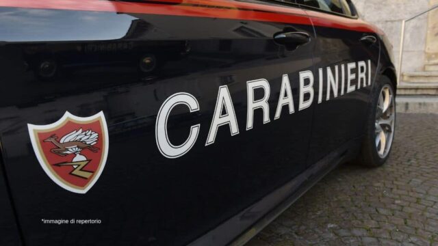 cane salvato dai carabinieri