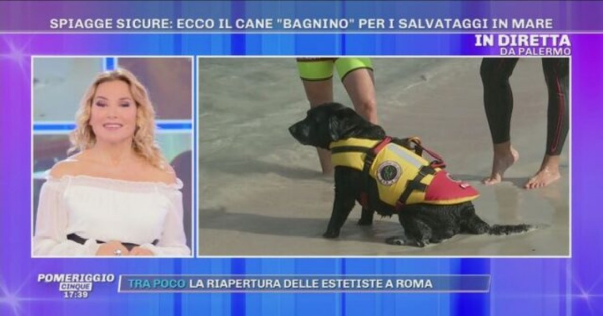 I cani bagnini sulle spiagge per garantire il distanziamento sociale