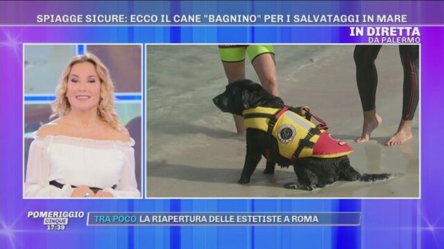 Il distanziamento sulle spiagge per i cani bagnini