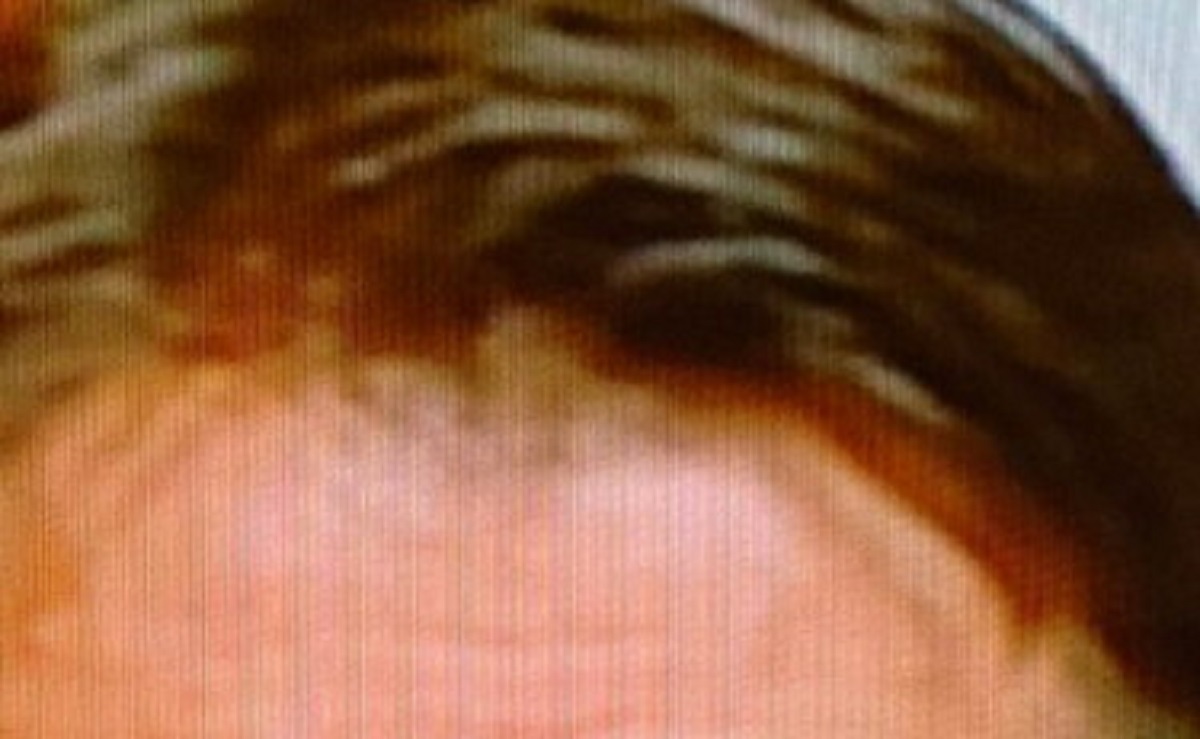 ciuffo Giuseppe Conte