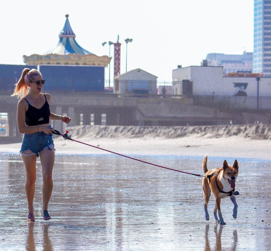 Camminare con il cane