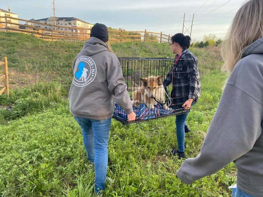 Cane salvato dai soccorritori