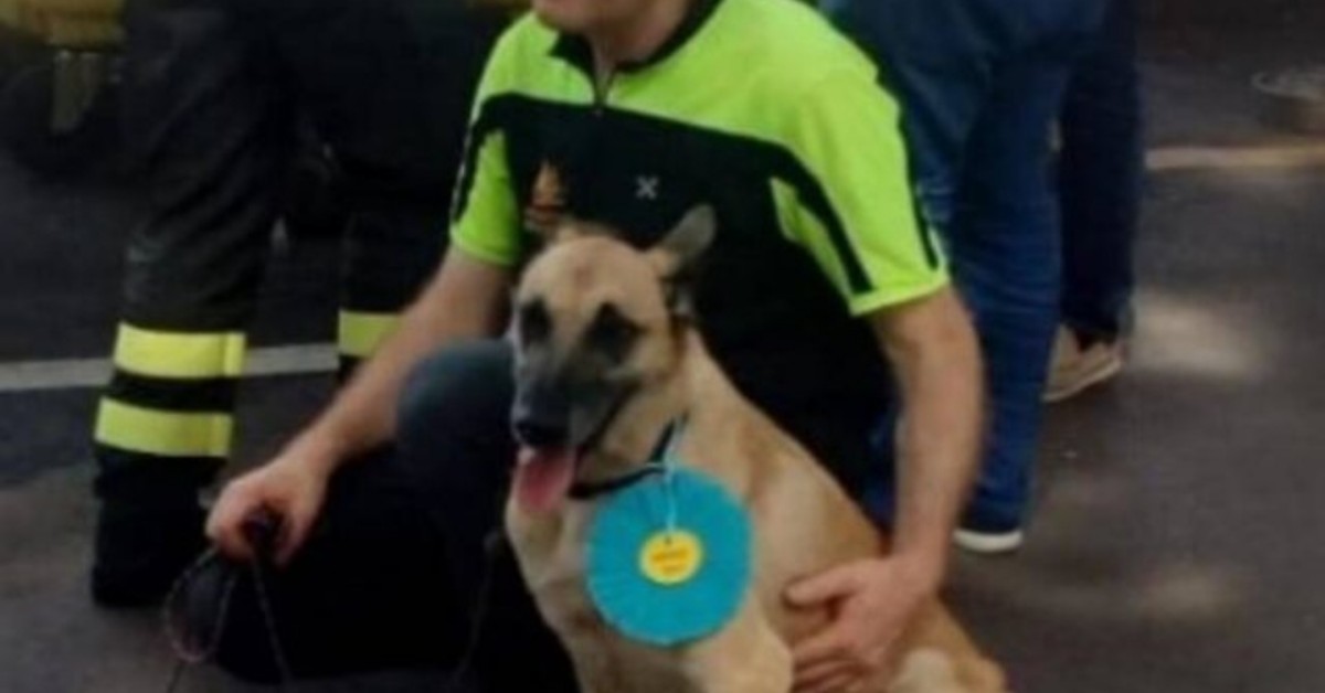 È morta Wendy, cane eroe di Rigopiano e del Ponte Morandi