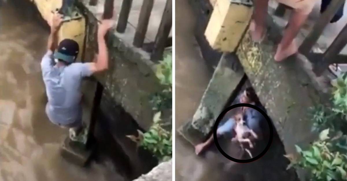 Giovane salva il cane che rischia di affogare