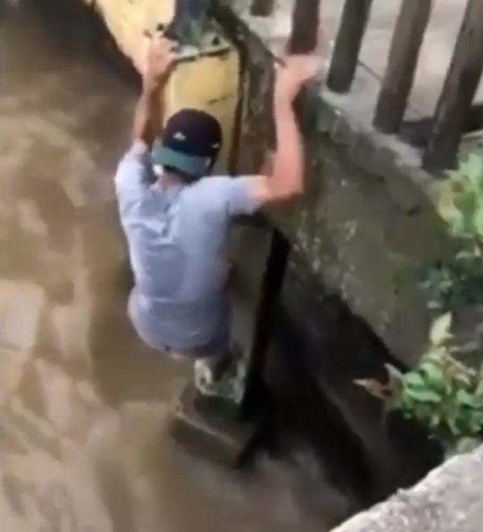 Ragazzo salva un cane