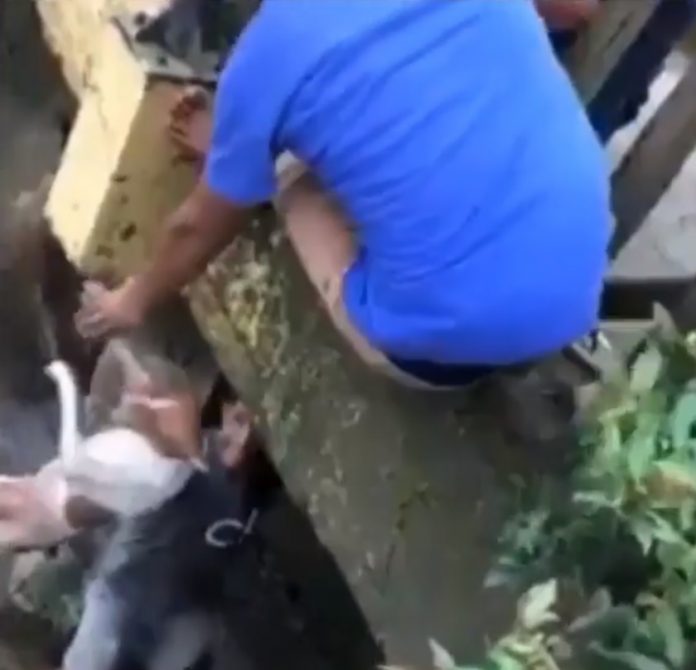 Giovane si aggrappa al ponte per salvare il cane