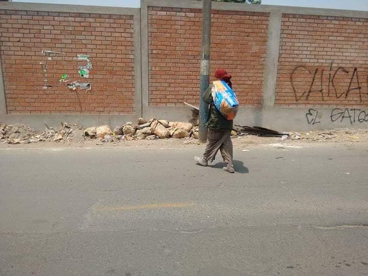 Mendicante nutre i cani randagi