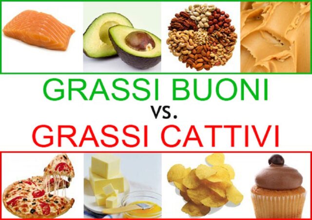 Grassi cattivi e grassi buoni