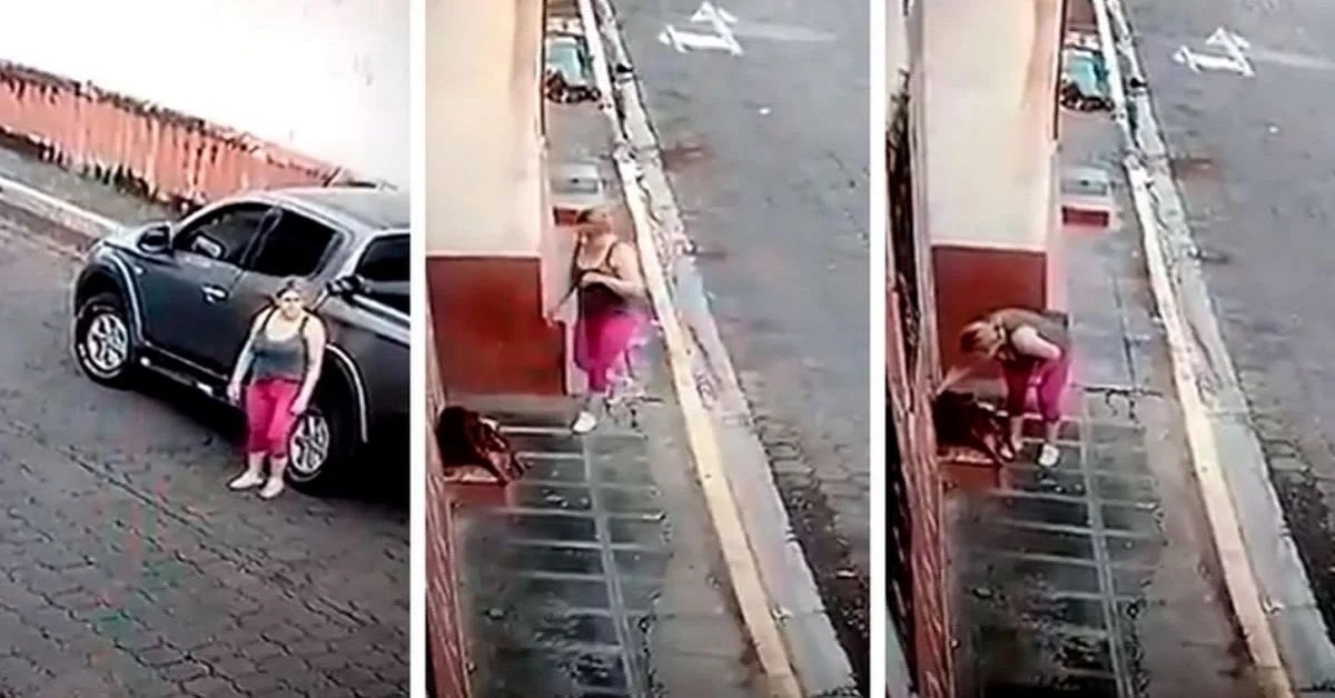 Il salvataggio di un cane abbandonato in strada (VIDEO)
