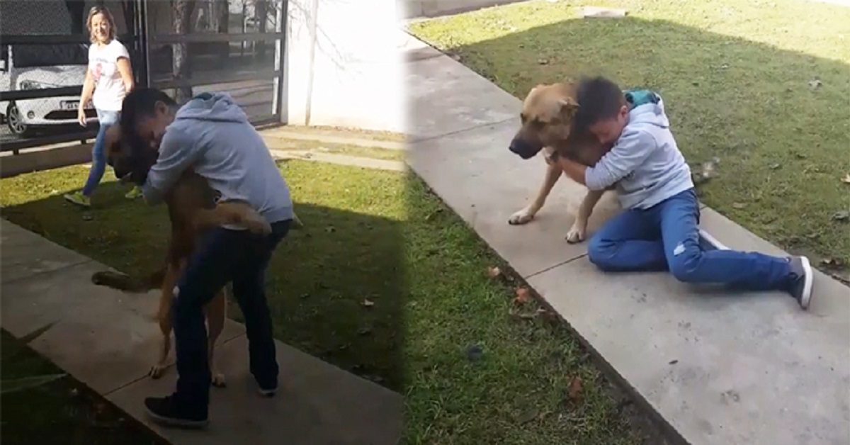 La riunione tra il bambino e Jack, il cane smarrito