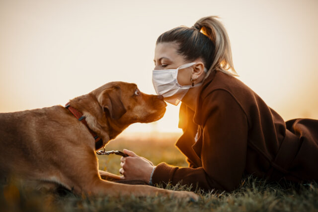 Lav e il bonus per cani e gatti