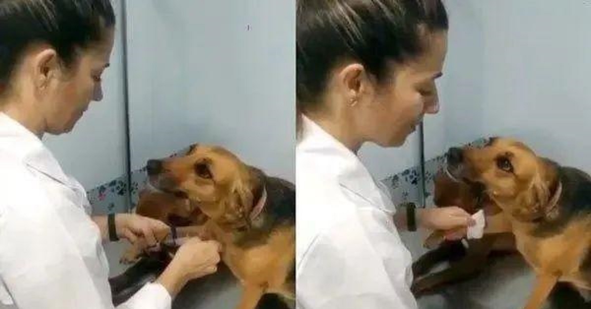 Lo sguardo di Cambaxirra durante la visita medica