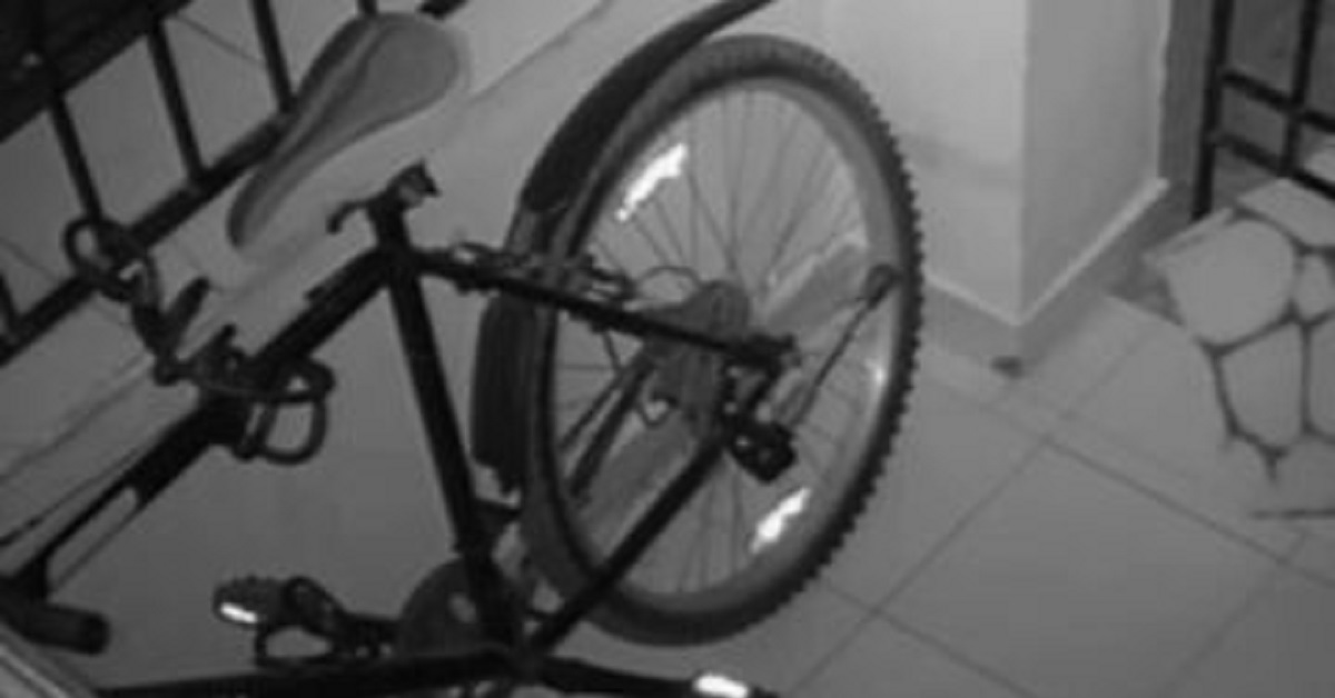 Lo zerbino di una coppia sparisce ogni sera: il colpevole trovato con le telecamere