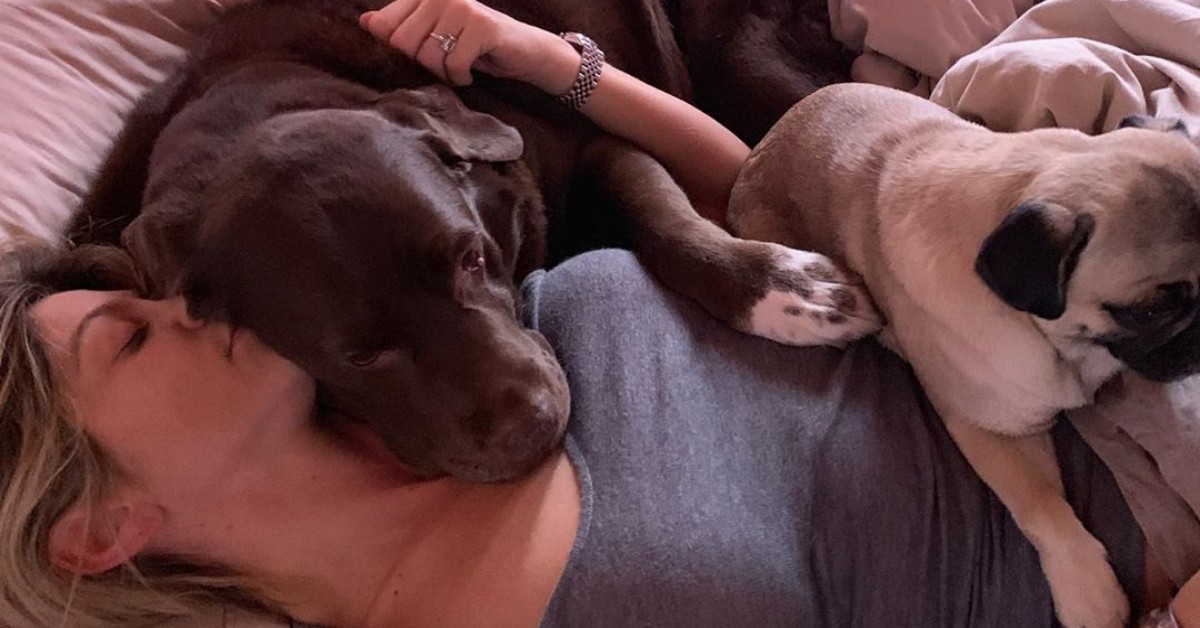 È morto il cane di Maddalena Corvaglia: il post su Instagram