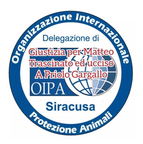 Cane trascinato a Priolo Gargallo: minacce contro le avvocatesse della difesa