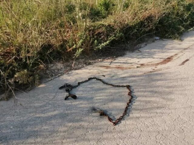 Cane trascinato a Priolo Gargallo: minacce contro le avvocatesse della difesa