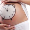 Periodo di gestazione