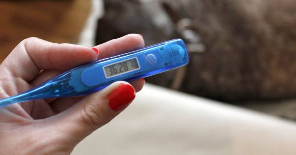 Qual è la temperatura del corpo considerata normale