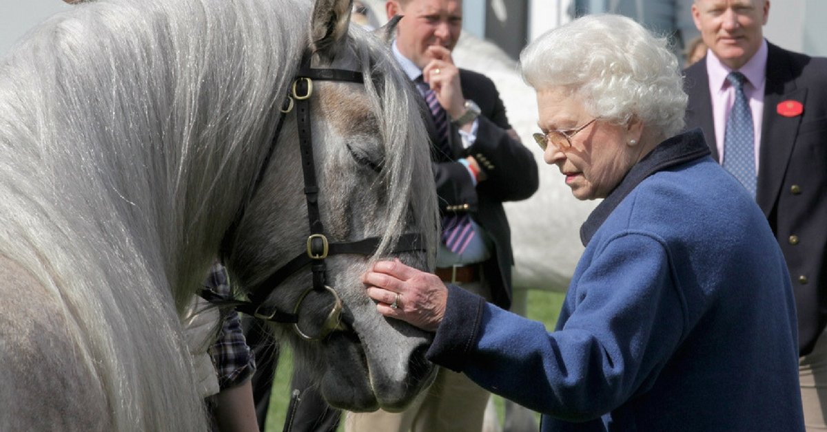 Regina Elisabetta: a cavallo ogni giorno per mantenersi giovane