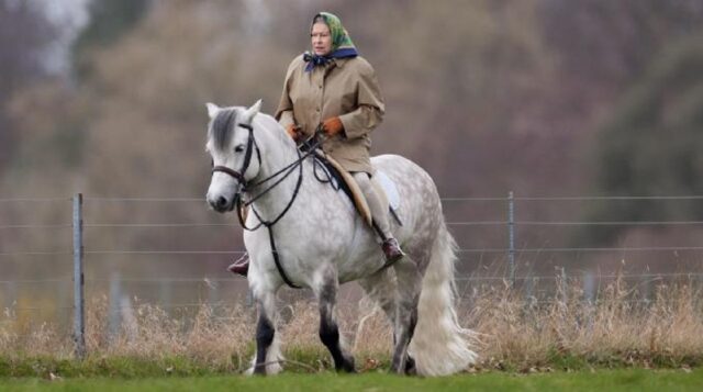 Regina Elisabetta II a cavallo