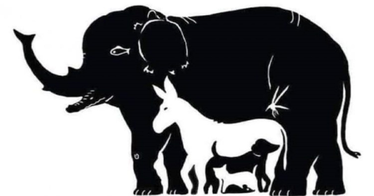 La sfida visiva: quanti animali vedi?