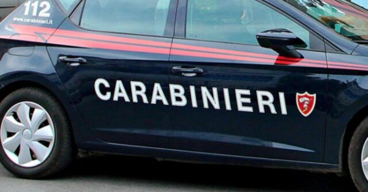 Rivoli, toglie la vita al cane della compagna: arrestato un 44enne